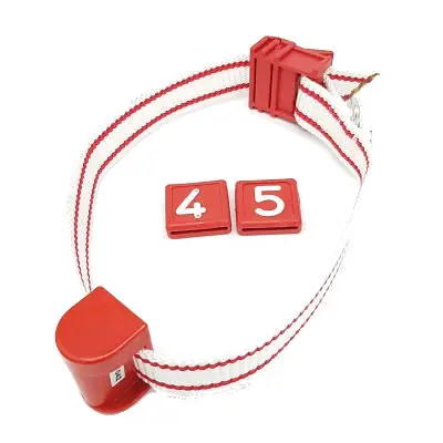 Schneller Versand Halsband+Nummern mit Transponder Alma / Paula U20 / U 40