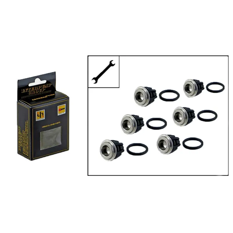 Abverkauf E-Set Ventile Kit IP 1 für Ehrle Hochdruckreiniger