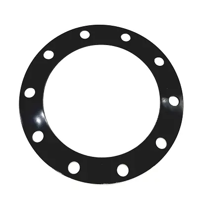 Dichtung für BWAC Kochendwasserreinigung 256mm Expressversand