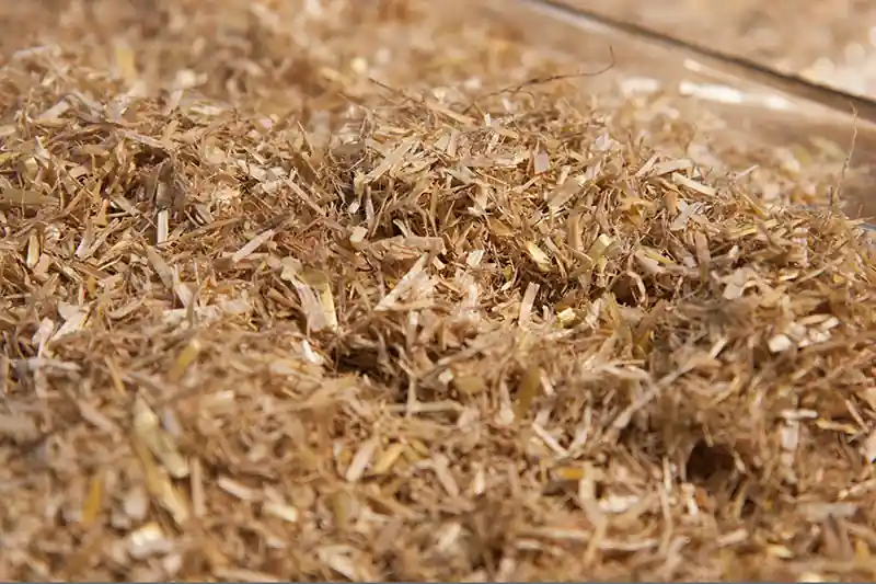 Aktuell Weizenstrohmehl mit Kalk 25 kg