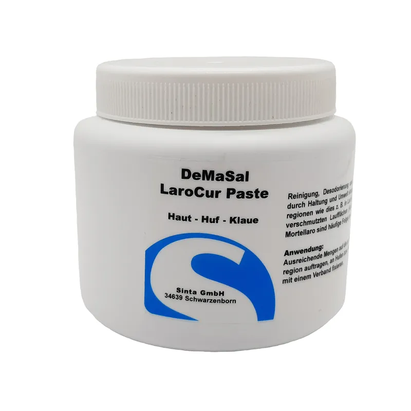 Super-Preis DeMaSal LaroCur Paste 450ml
