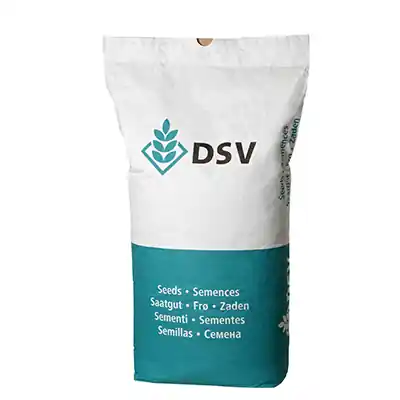 Abverkauf Wildacker DSV DJV plus / Wildackersaatgut mehrjährig 10kg