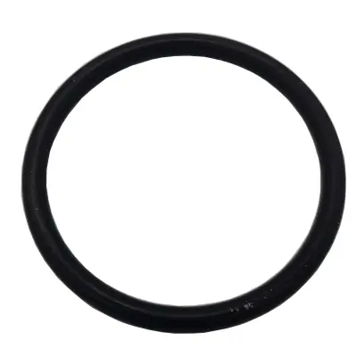 O Ring 25 x 3 DeLaval Rührwerksmotor Expressversand