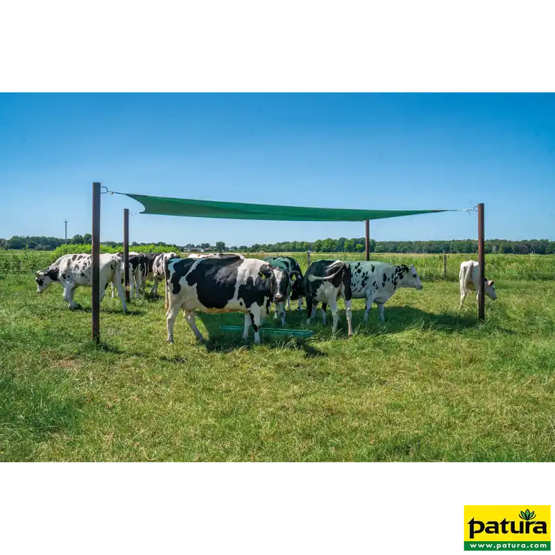Heißes Angebot Patura  Beschattungsnetz 6,00 x 4,00 m (L x B)