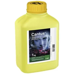 Letzte Chance BASF Cantus