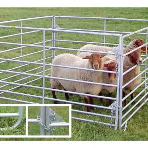 Patura Panel für Schafe Preiswert