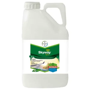 Bayer Skyway Xpro Top-Preis