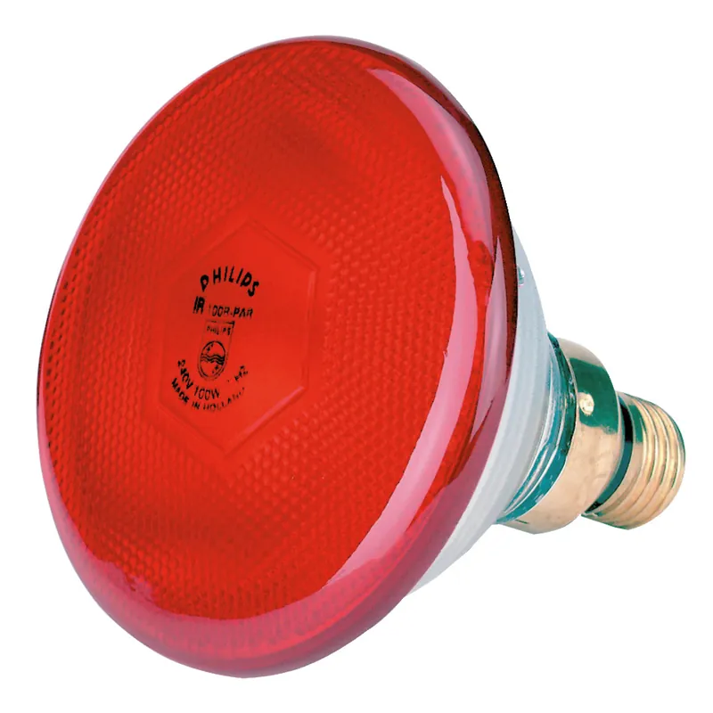 KERBL Infrarot-Sparlampe Philips 100 W Preisknaller