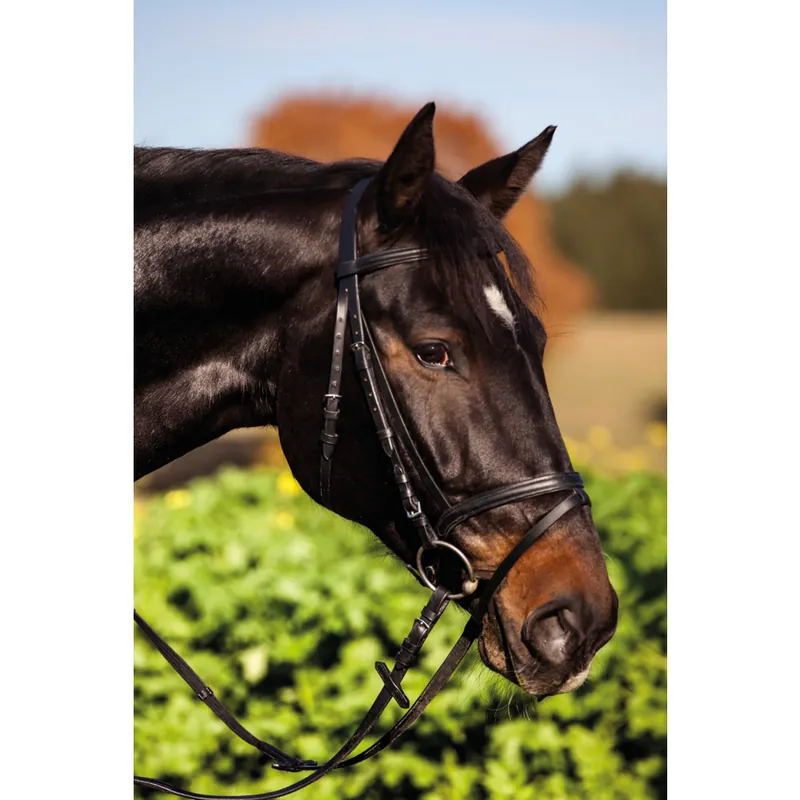 Schneller Versand KERBL Trensenzaum Standard Pony