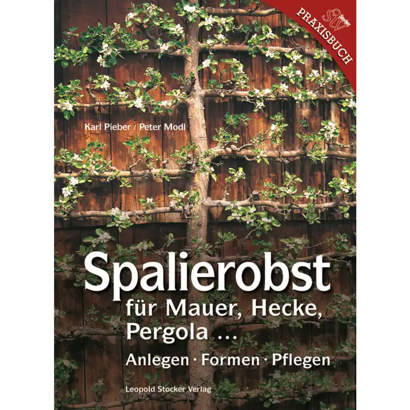 Angebot Spalierobst für Mauer, Hecke, Pergola