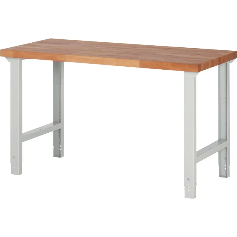 Echt PROMAT Werkbank BK650