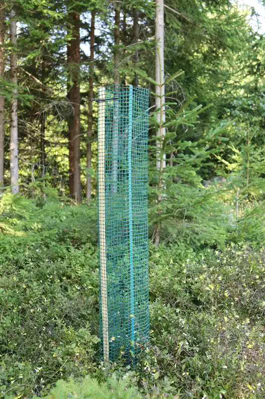 Geprüft Baumschutzgitter 300 Nadelholz 120 cm