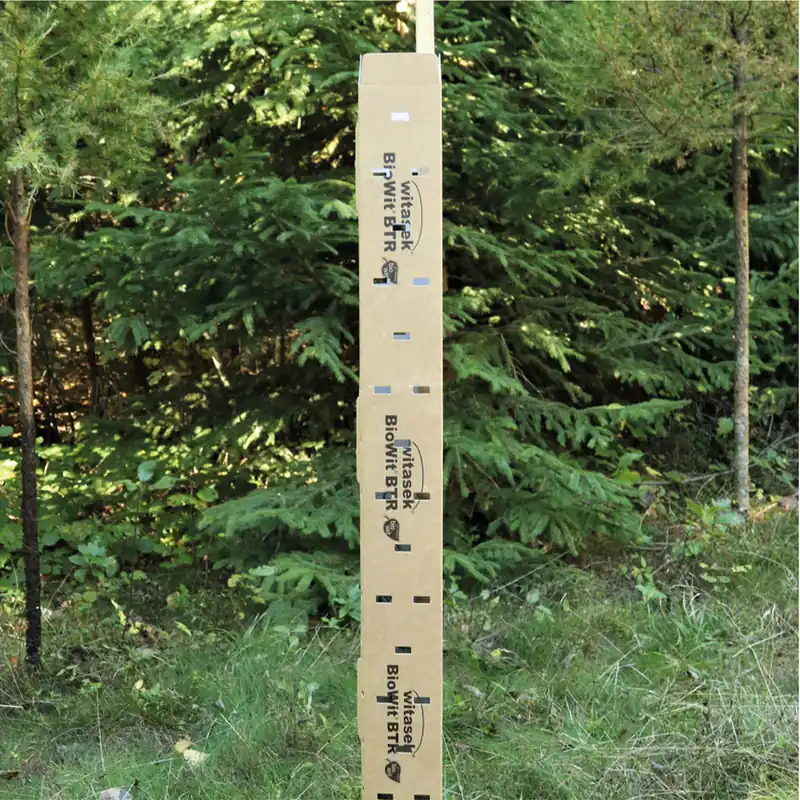 Baumschutzsäule BIO Laubholz 120cm Sale