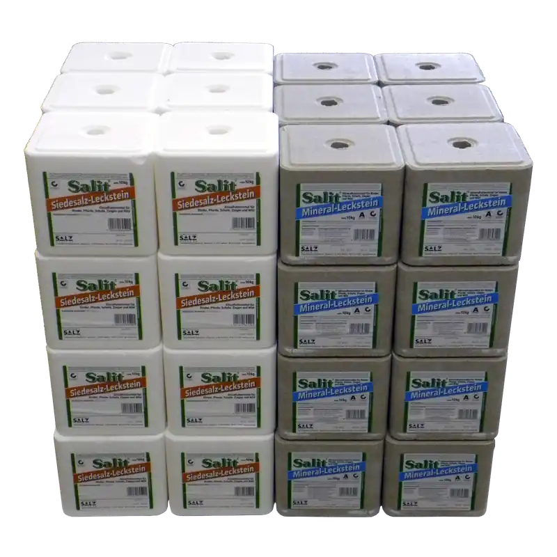 Bestpreis Leckstein-Set Classic 48x10 kg