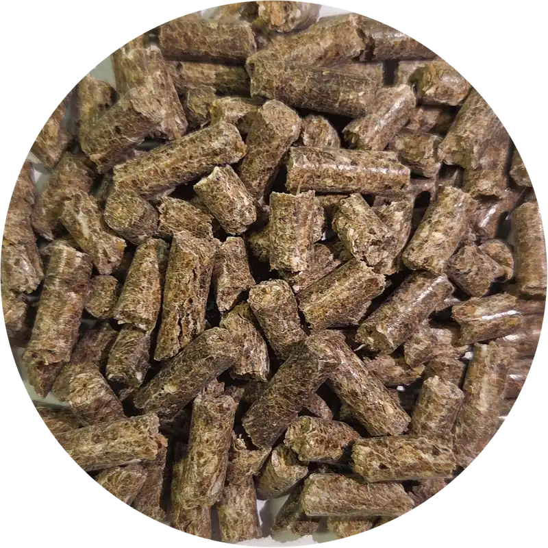 Pferdefutter Leader Basis 20 Kg Markenware