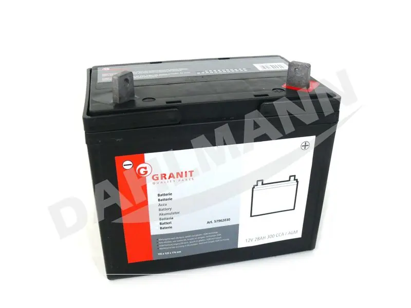 Batterie Starterbatterie AGM 12 Volt 28 AH für CASTEL GARDEN Rasentraktor TC 122 TCP 122 Geprüft