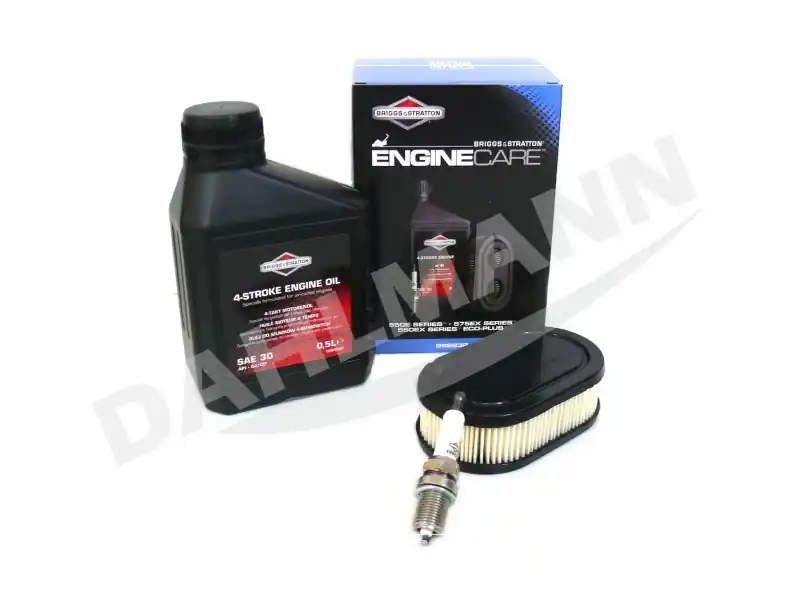 Expressversand Briggs & Stratton Wartungskit für OHV 575EX Series™