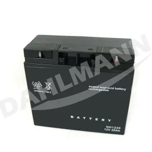 Top-Preis Batterie Starterbatterie GEL 12 Volt 20 Ah für CASTEL GARDEN Rasentraktor XT 150