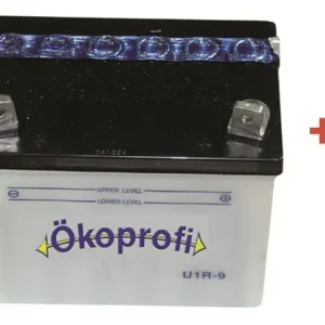 Geprüft Batterie 12V 24AH U1R9