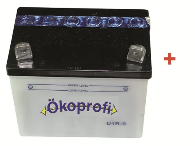 Geprüft Batterie 12V 24AH U1R9