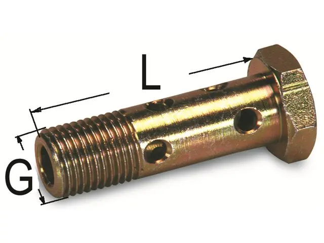 Hohlschraube 1/2" Schneller Versand