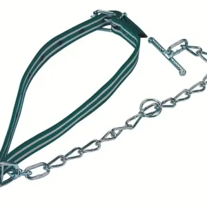 Kälberanbinder komplett 85 x 4 cm, mit Kette 4 mm Knallerangebot