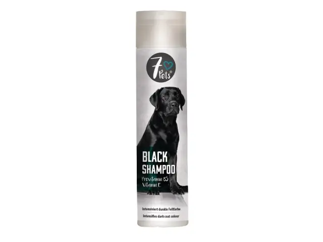 Sofort Bestellen Black Shampoo 250 ml