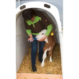 CalfHouse Premium Plus ohne Umzäunung Heißes Angebot