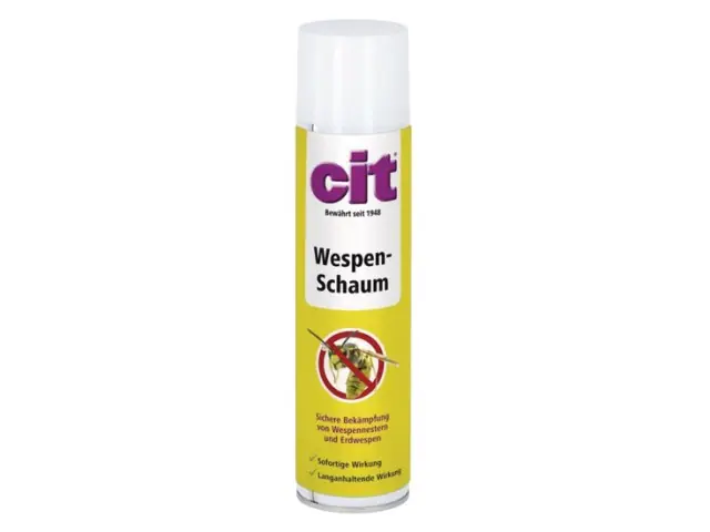 Solange Der Vorrat Reicht Cit Wespenschaum 400 ml