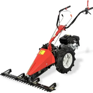 Wochenendangebot Eurosystems Mehrzweckgerät M 550 Honda GX 200 - Grundmaschine ohne Anbaugeräte und Räder