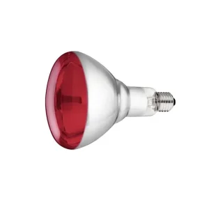 Hartglas-Infrarotbirne, 240V Highlight