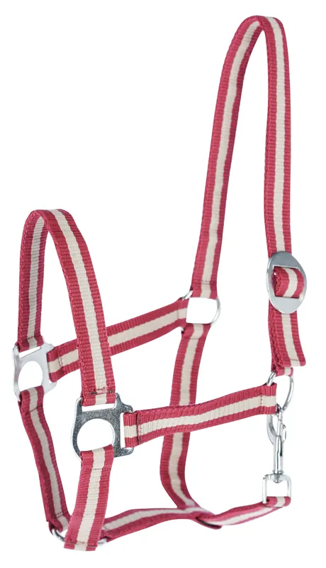 Schneller Versand Nylonhalfter "Classic" Gr.00, rot