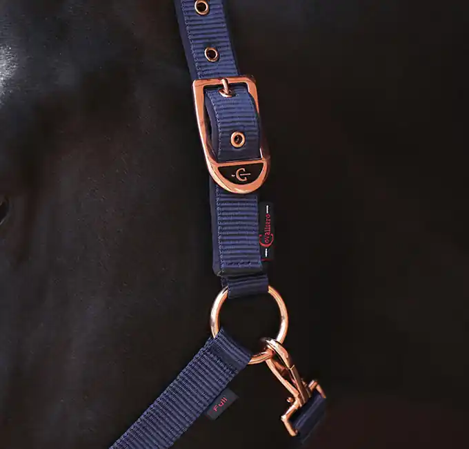 Günstig Halfter "Classy", Gr. 0, navy