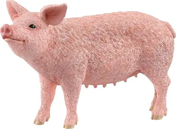 Schwein rosa Bestseller