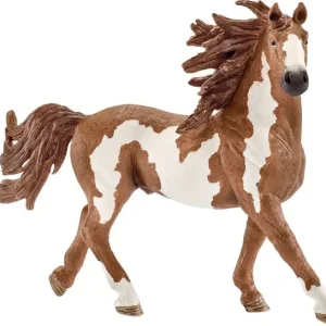 Wochenendangebot Pinto Hengst