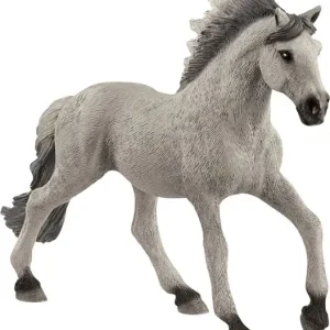 Mustang Hengst Saisonangebot