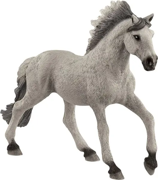 Mustang Hengst Saisonangebot