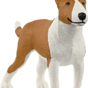 Günstig Bullterrier