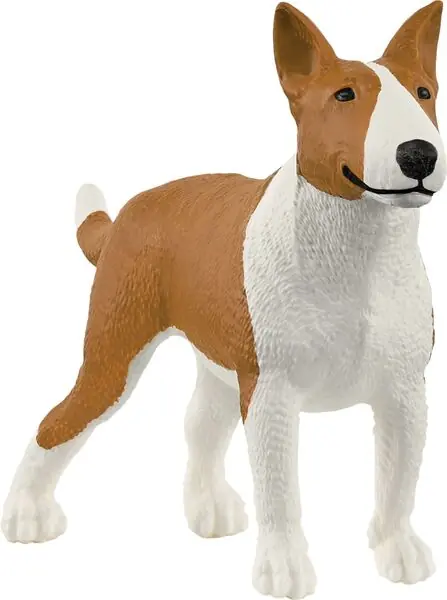 Günstig Bullterrier