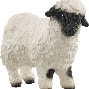 Billig Walliser Schwarznasenschaf