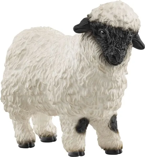 Billig Walliser Schwarznasenschaf