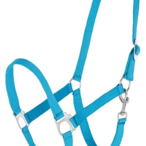 Nylonhalfter "Hippo" Gr. 2, royalblau Schneller Versand