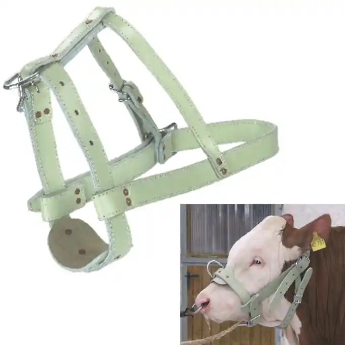 Bullenhalfter Schneller Versand