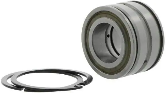 Bestseller Zylinderrollenlager SL045016 -D-PP-2NR ID 80mm AD 125mm Breite60mm INA