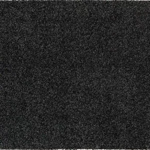 Begrenztes Angebot Fußmatte anth.L1000xB600xSmm