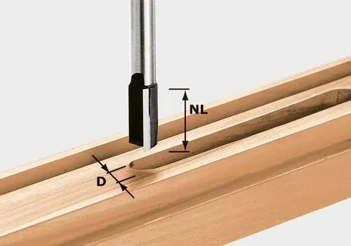 Nur Heute Festool Nutfräser HW S8 D30/20