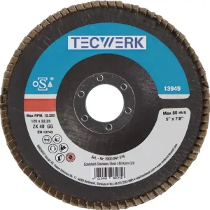 Heißes Angebot Fächerscheibe D.125mm K.40 kon.INOX ZK TECWERK VE: 10 Stück