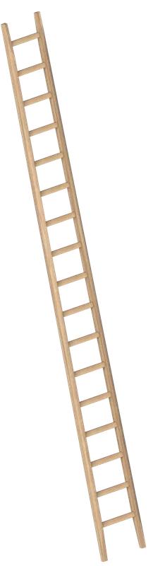 Layher Bau-Holzanlegeleiter 1036 aus feinjährigem Fichtenholz Neu