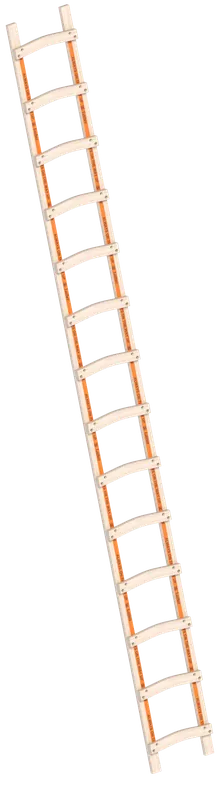 Layher Holzdachdeckerleiter 1046 mit Durchbruchsicherung Markenware
