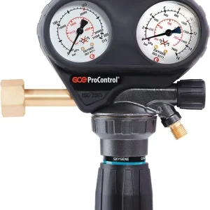 Flaschendruckminderer ProControl Propan 25bar 1-stufig GCE Günstig